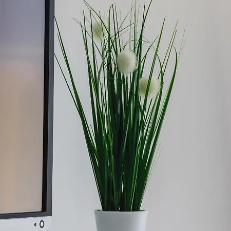 Apartment Smoluchowskiego Cracow by Renters Kraków Zewnętrze zdjęcie